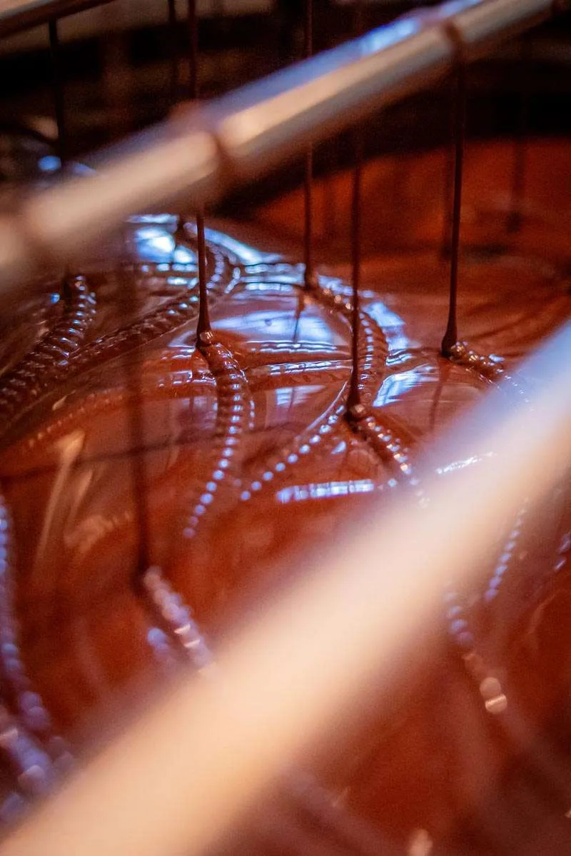 Goodnow Farms Piura pure chocoladereep framboos limited