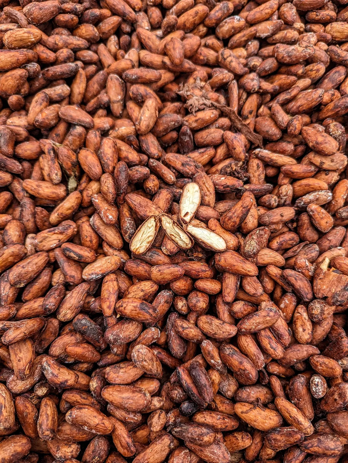 Lucid Chocolatier B9 Colombia dark-milk chocoladereep 50g