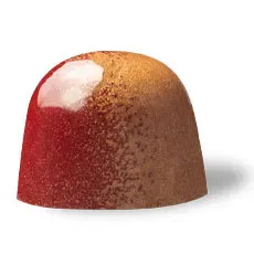 Chocoladebezorgd Crunchy Macadamia bonbon crunch