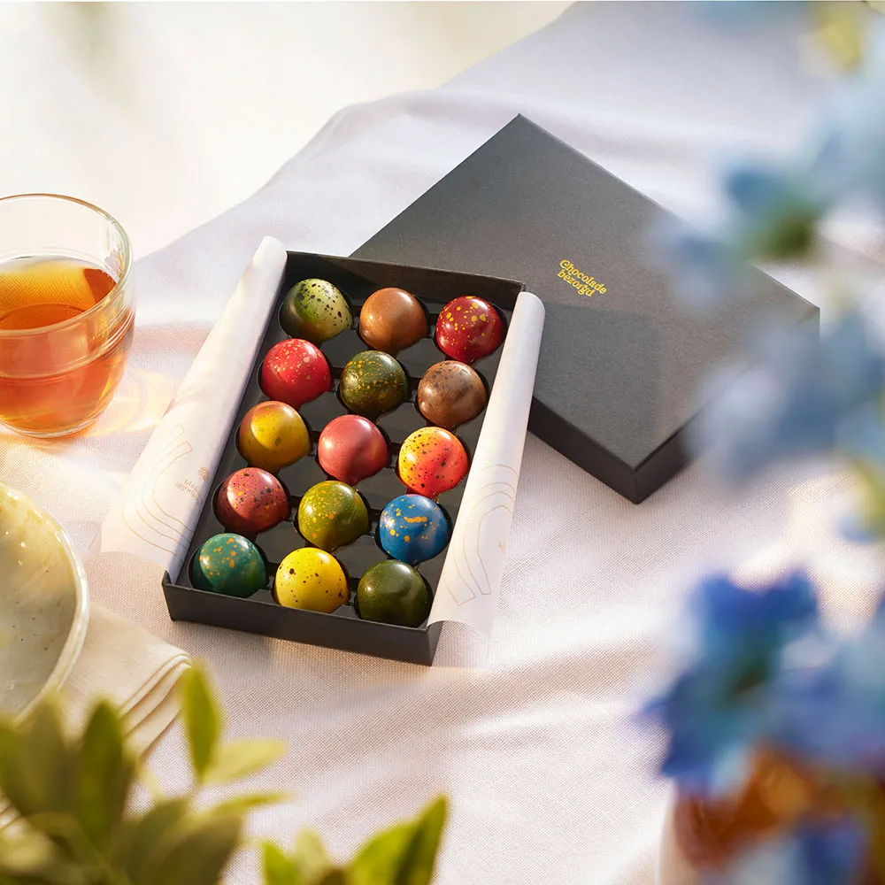 Chocoladebezorgd Succes bonbons 15 stuks mix