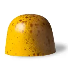 Chocoladebezorgd Hazelnoot Citroen bonbon losse praline