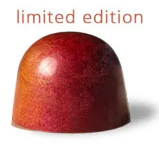 Chocoladebezorgd Amandel praline melkchocolade
