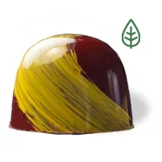 Chocoladebezorgd Kers bonbon losse praline fruitig