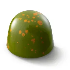Chocoladebezorgd Earl Grey Limoen bonbon fris