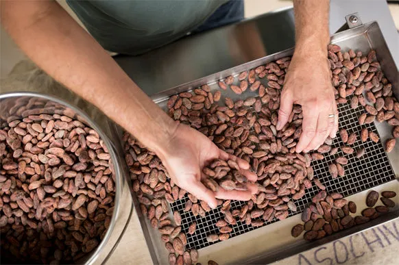 Goodnow Farms Maker's Choice Herbaceous Green Sichuan Pepper chocoladereep