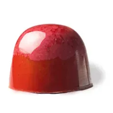 Chocoladebezorgd Cashew bonbons romige praline