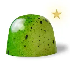 Chocoladebezorgd Mango Matcha bonbon losse praline fruitig