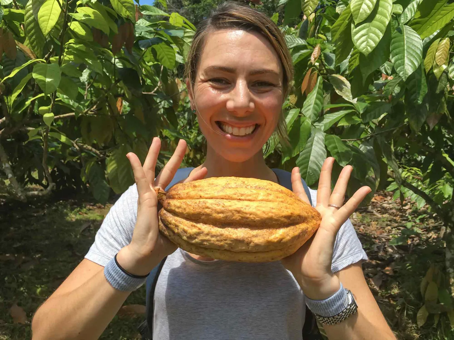 Goodnow Farms Chocolate Special Reserve Las Palomas koffiereep puur