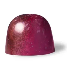 Chocoladebezorgd Lychee Framboos Bonbon Fruitig