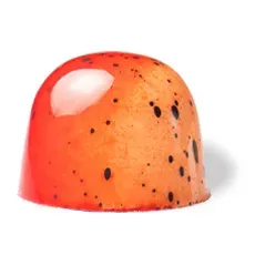 Chocoladebezorgd Aardbei Kardemom Steranijs bonbons