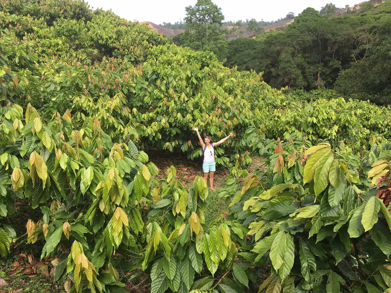 Goodnow Farms Esmeraldas pure chocoladereep 70% bosbes