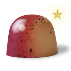 Chocoladebezorgd Yuzu Vanille bonbons fris