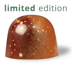 Chocoladebezorgd Stroopwafel bonbon losse praline karamel