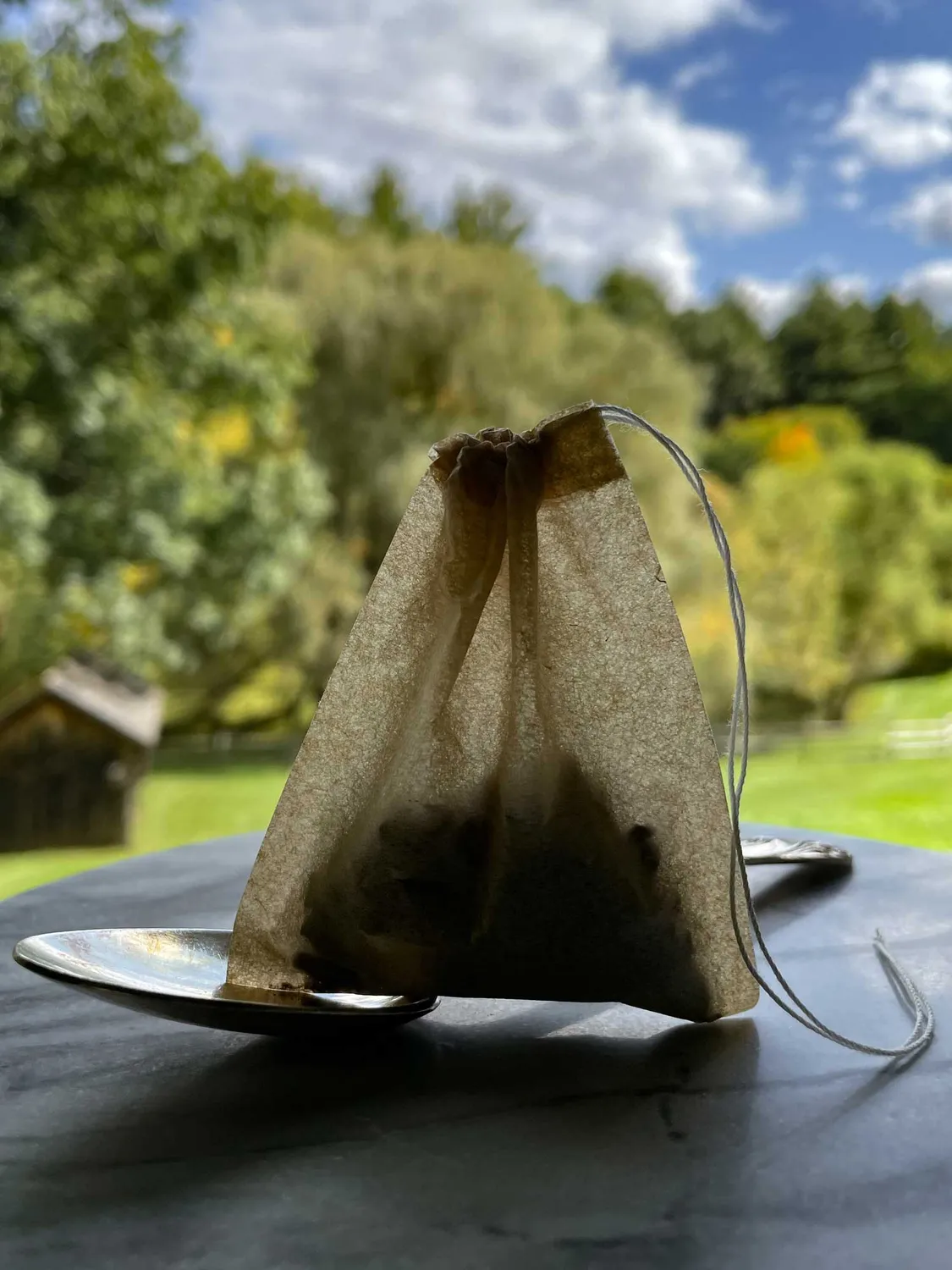 Goodnow Farms Cacao Tea cacaothee brownie-vanille