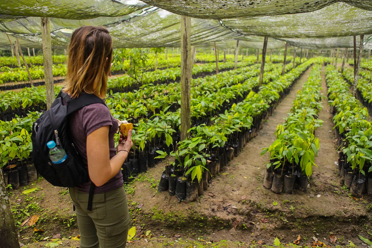 Goodnow Farms Almendra Blanca warme chocolademelk poeder