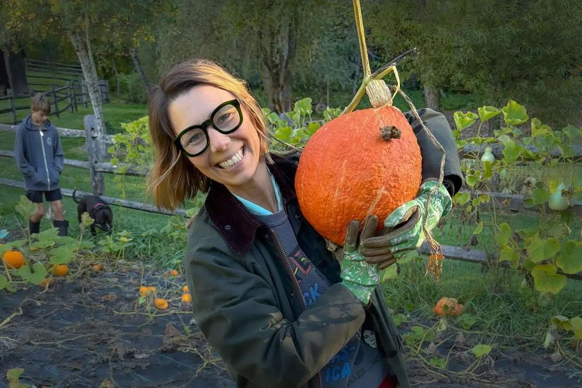 Goodnow Farms Limited Release Pumpkin Pie chocoladereep