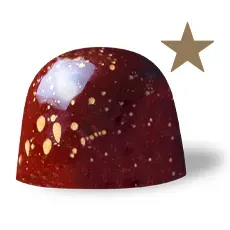 Chocoladebezorgd Speculaas bonbon losse praline