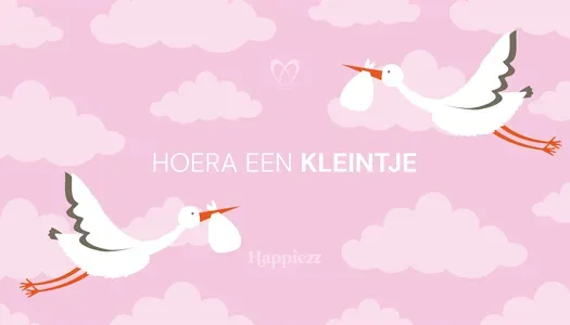 Chocoladebezorgd Geboorte Meisje L chocoladecadeau roze