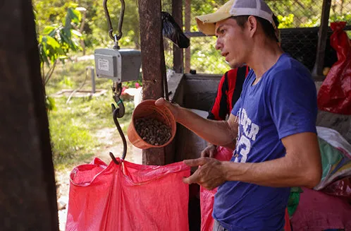 Goodnow Farms El Carmen chocoladereep Nicaragua puur