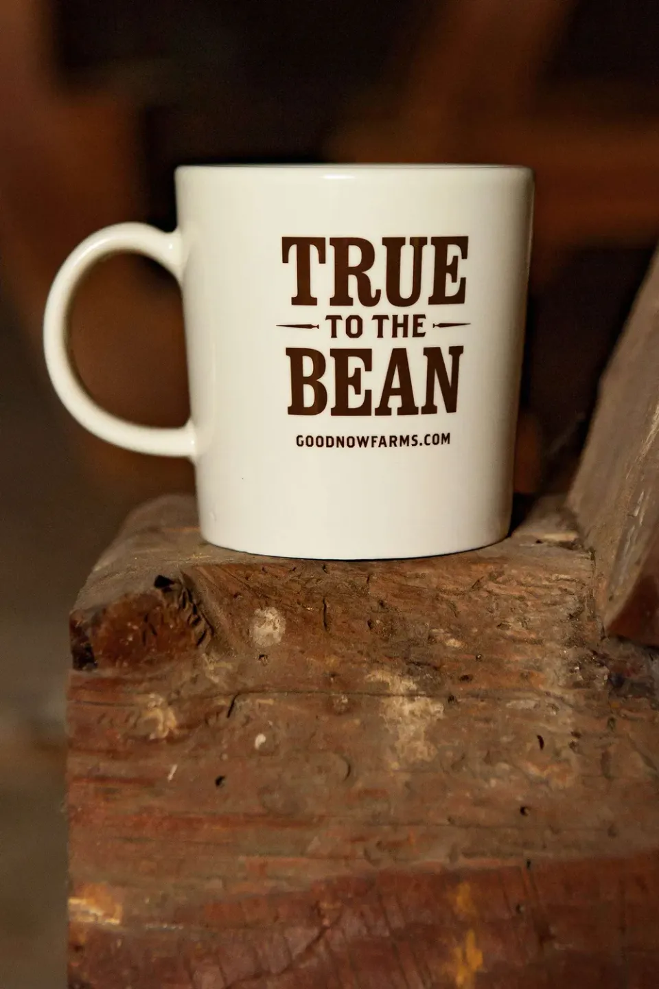Goodnow Farms Chocolate Hot Cocoa mok cadeau