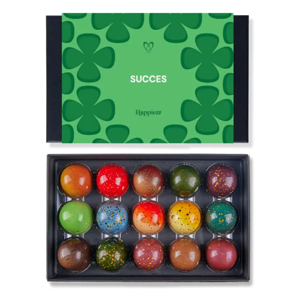 Chocoladebezorgd Succes bonbons 15 stuks mix