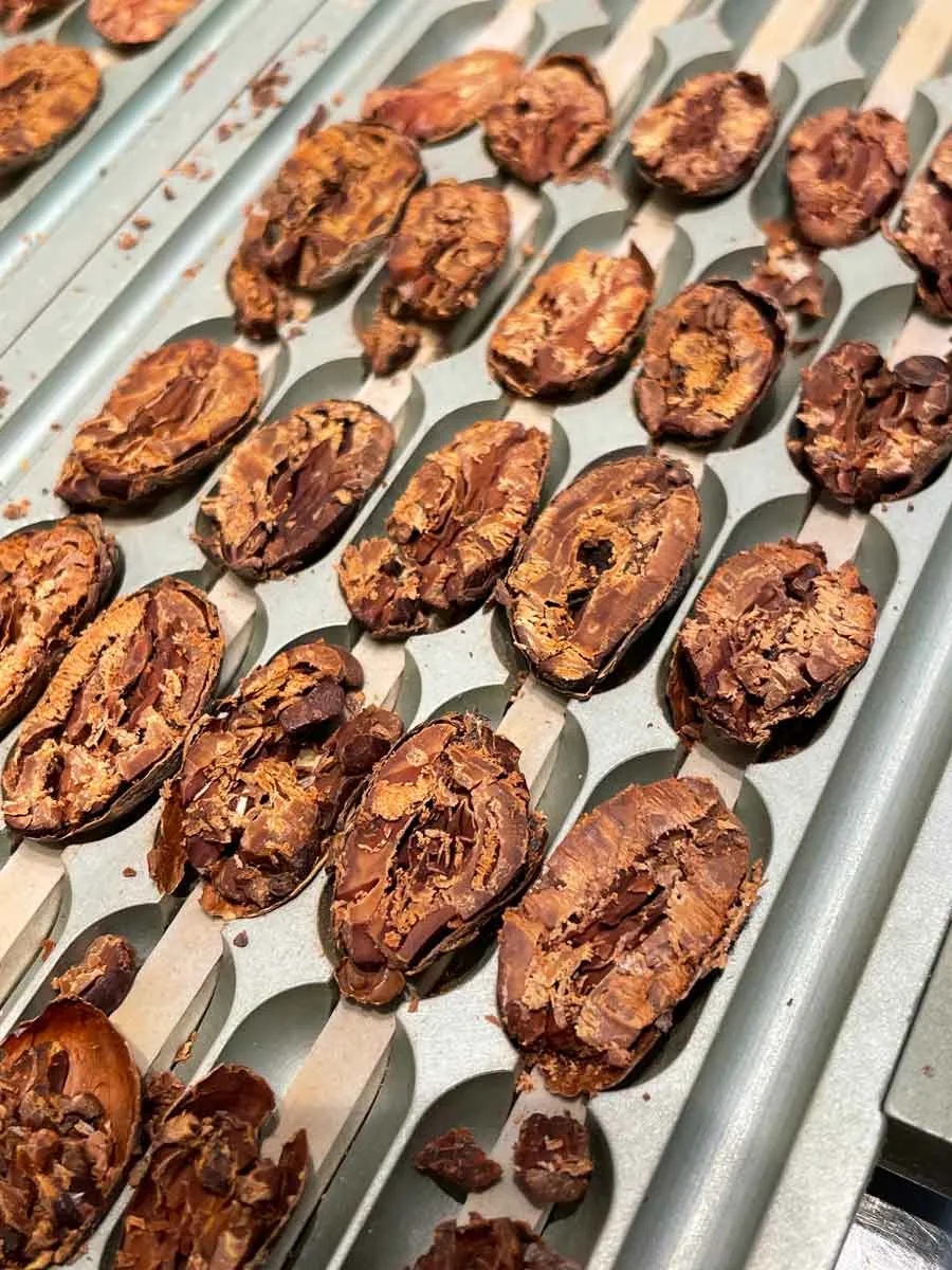 Goodnow Farms Limited Release Yasica Especial chocoladereep