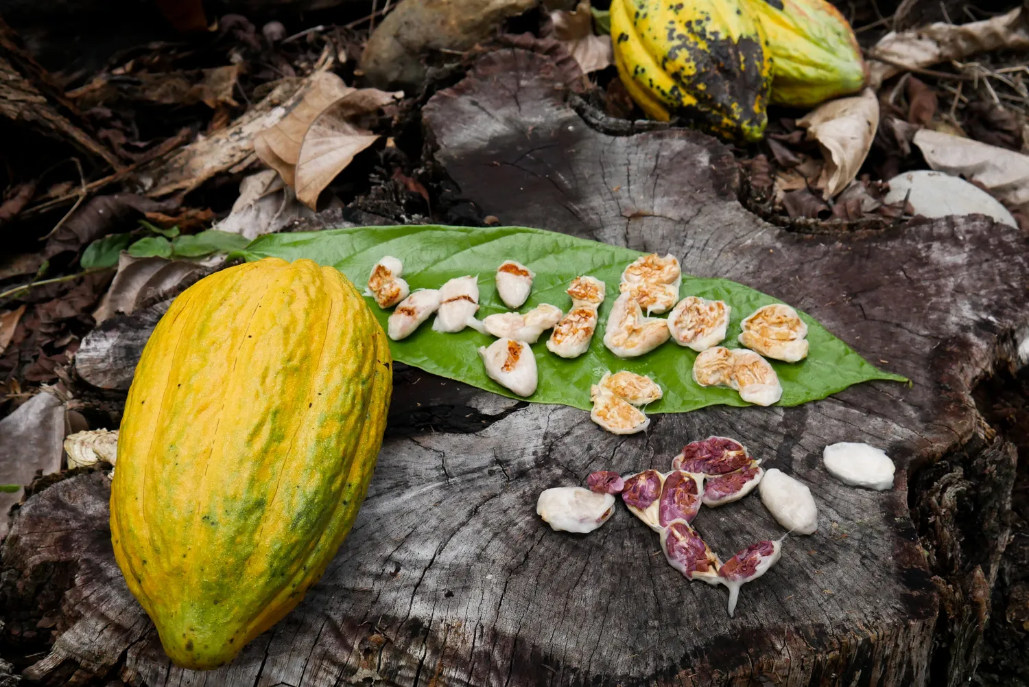Lucid Chocolatier Marañon 100% chocoladereep puur