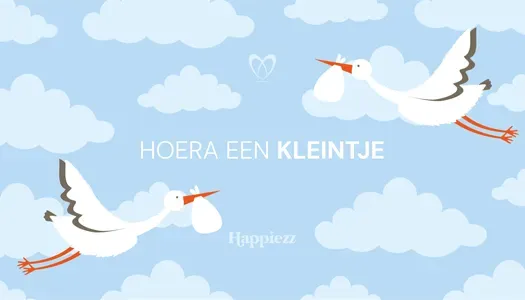 Chocoladebezorgd Geboorte Jongen L bonbons kraamcadeau