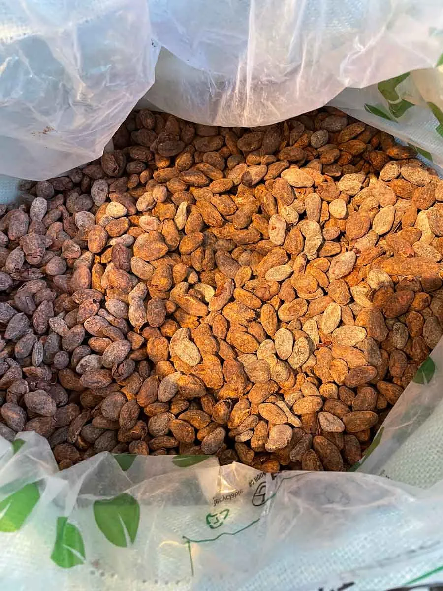 Goodnow Farms Limited Release Yasica Especial chocoladereep